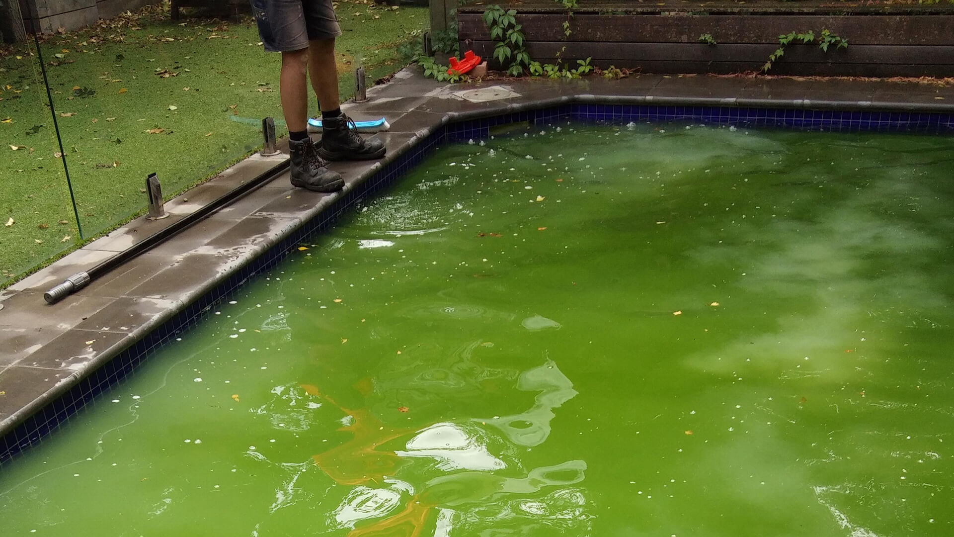 Healthy Pools