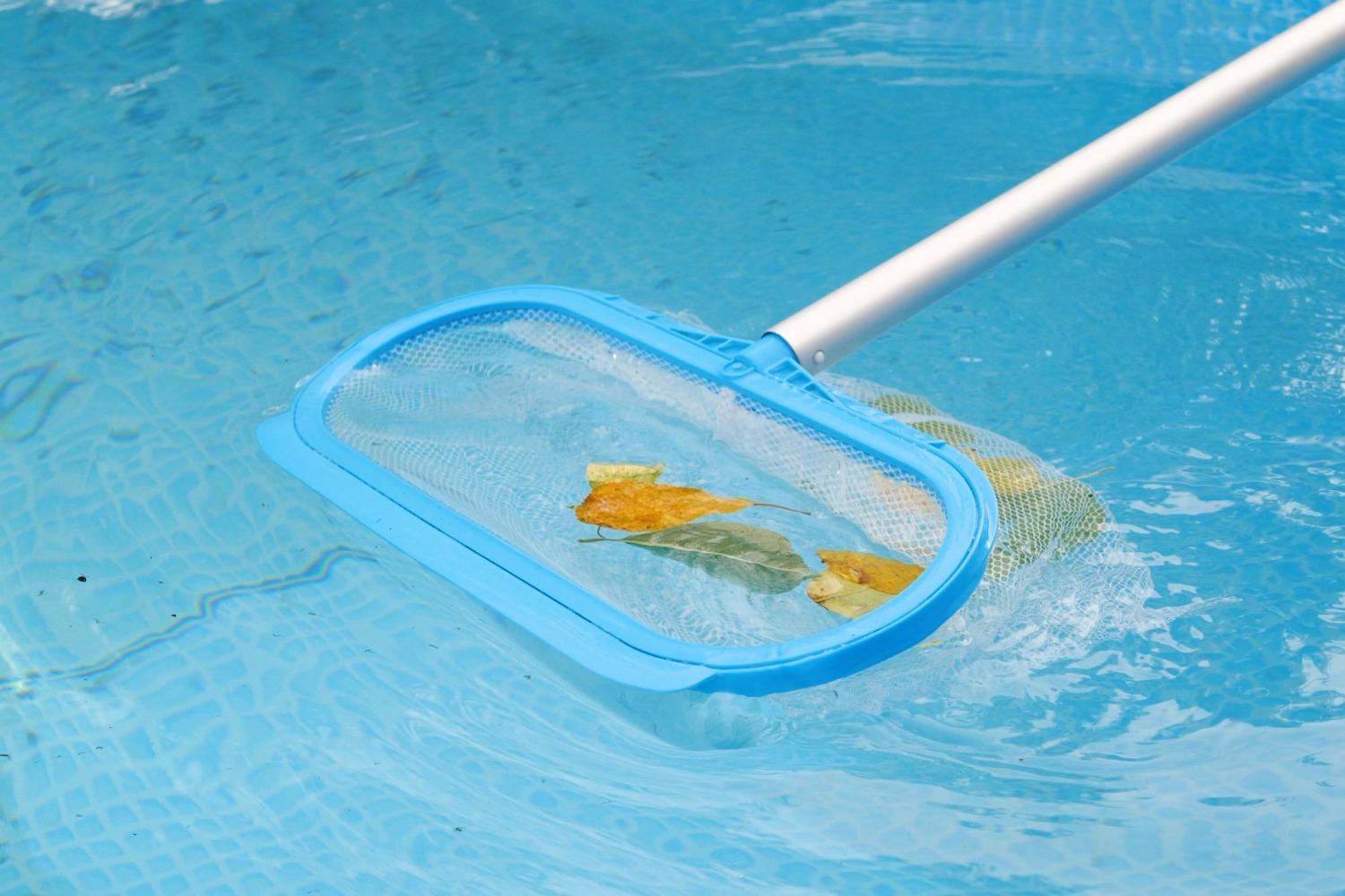 Healthy Pools