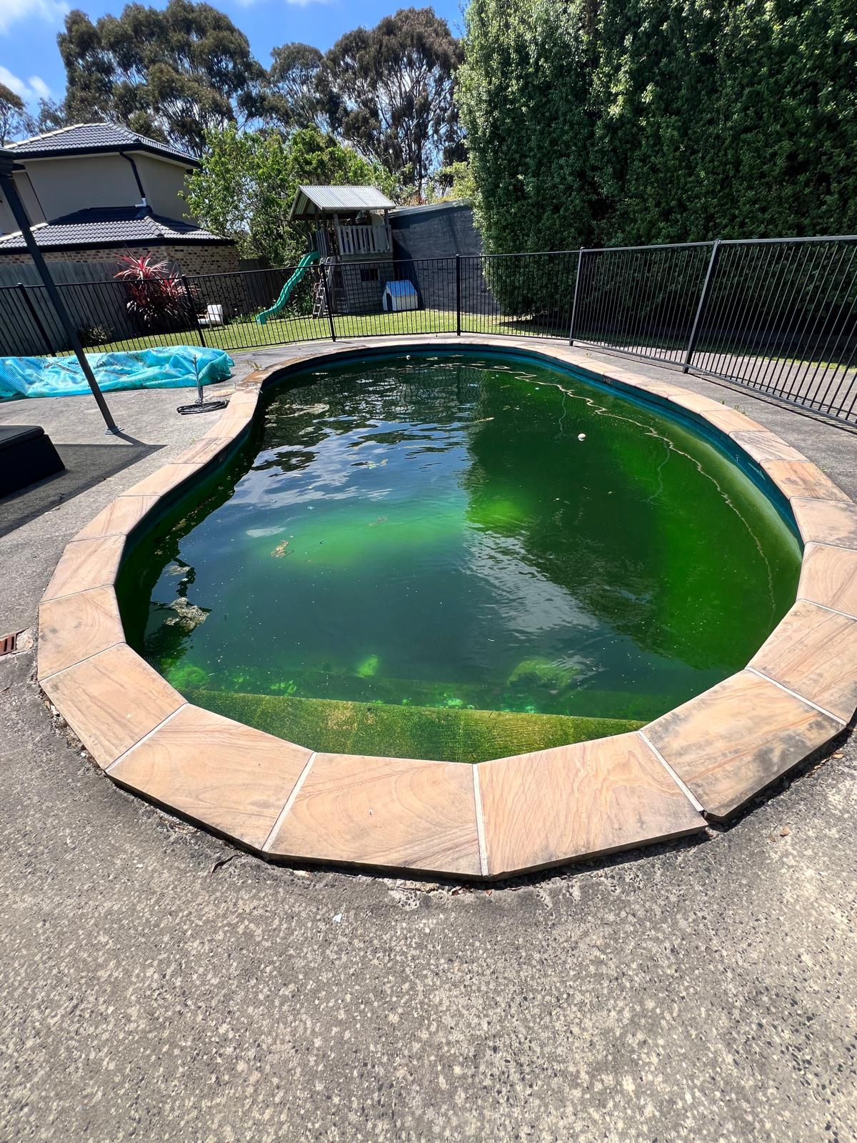 Healthy Pools